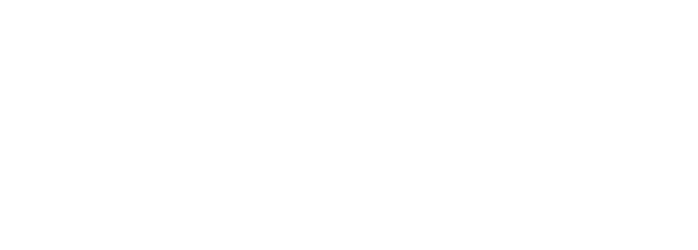 锂比特